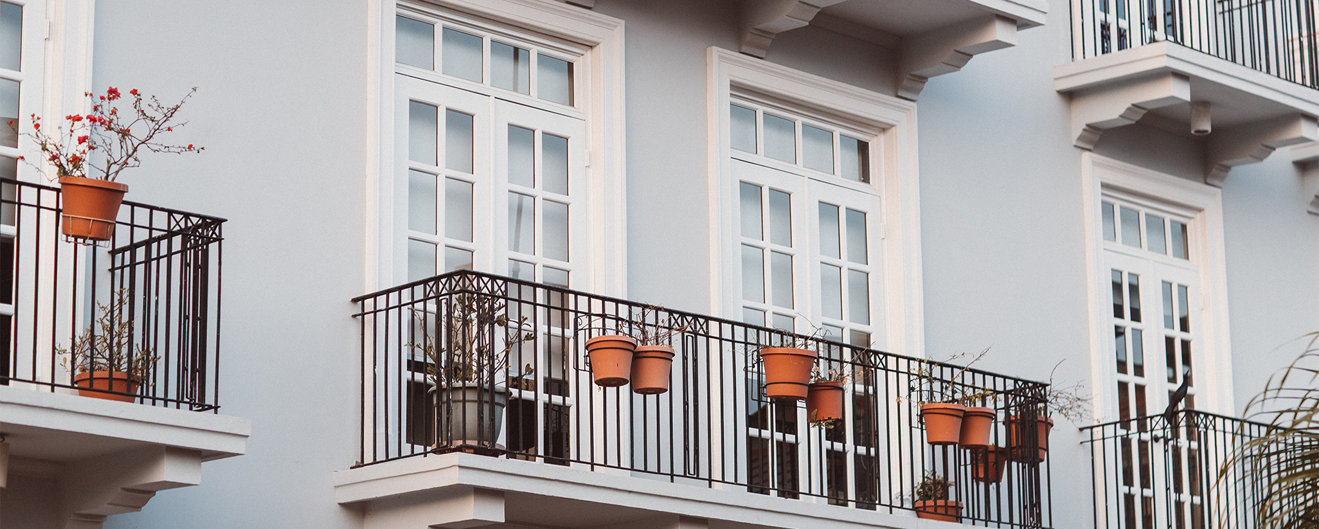 apartment balcony with plants