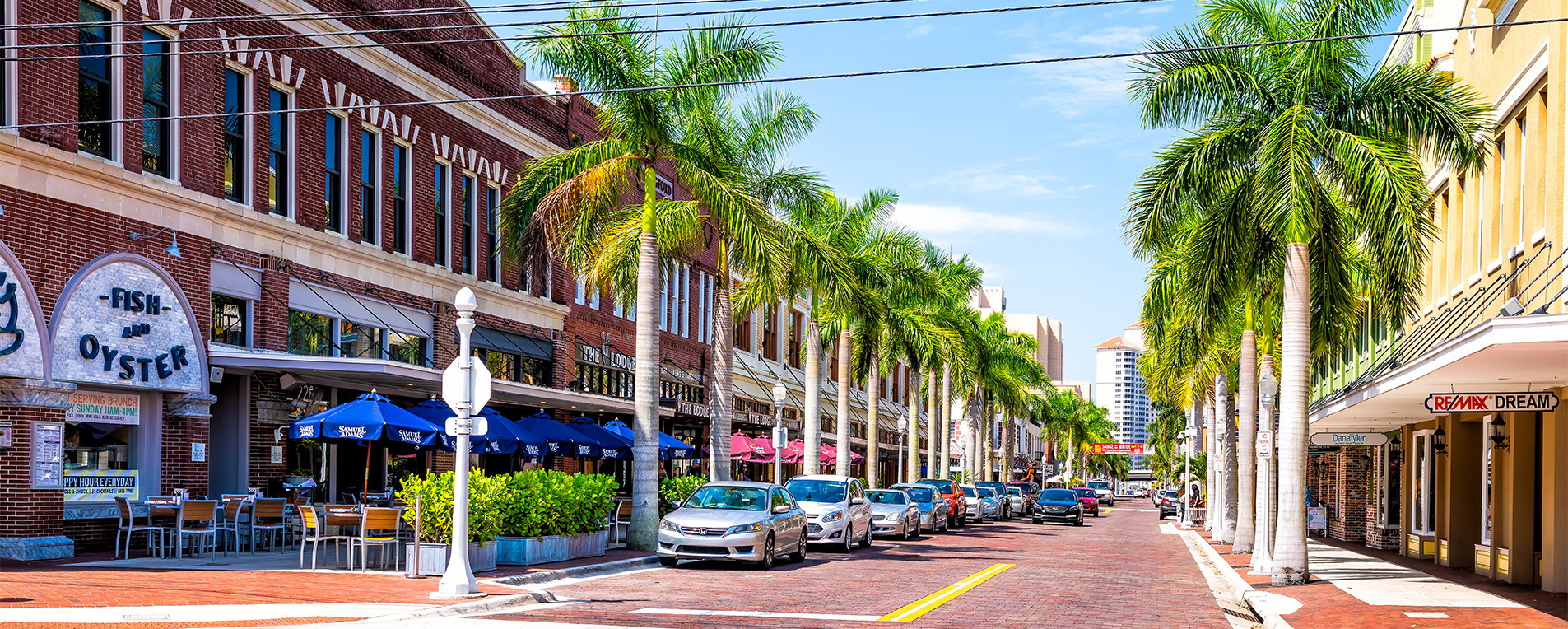 outside street with palm trees in florida